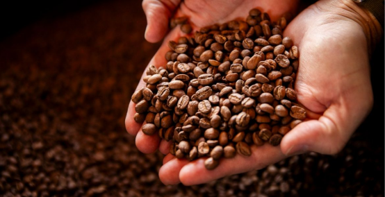 ¿Cómo afecta el tipo de tueste al sabor de tu café?